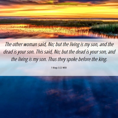 Picture 06 - 1 Kings 3:22 WEB - The other woman said, No; but the living is my - Bible Verse Picture