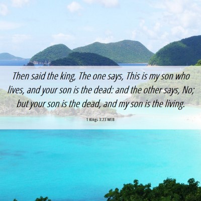 Picture 06 - 1 Kings 3:23 WEB - Then said the king, The one says, This is my son - Bible Verse Picture