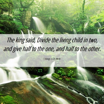 Picture 06 - 1 Kings 3:25 WEB - The king said, Divide the living child in two, - Bible Verse Picture