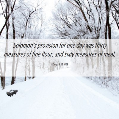 Picture 06 - 1 Kings 4:22 WEB - Solomon's provision for one day was thirty - Bible Verse Picture