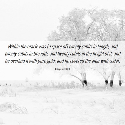 Picture 06 - 1 Kings 6:20 WEB - Within the oracle was [a space of] twenty cubits - Bible Verse Picture