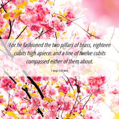 Picture 06 - 1 Kings 7:15 WEB - For he fashioned the two pillars of brass, - Bible Verse Picture