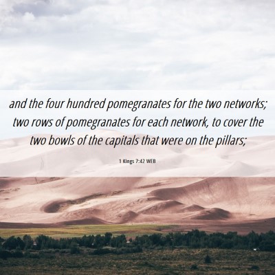 Picture 06 - 1 Kings 7:42 WEB - and the four hundred pomegranates for the two - Bible Verse Picture