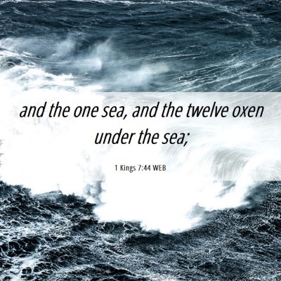 Picture 06 - 1 Kings 7:44 WEB - and the one sea, and the twelve oxen under the - Bible Verse Picture