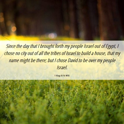 Picture 06 - 1 Kings 8:16 WEB - Since the day that I brought forth my people - Bible Verse Picture