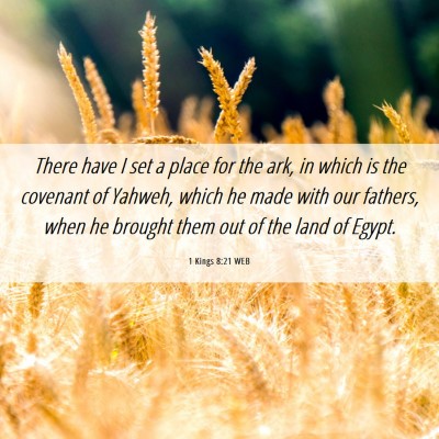 Picture 06 - 1 Kings 8:21 WEB - There have I set a place for the ark, in which is - Bible Verse Picture