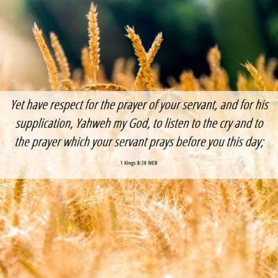 Picture 06 - 1 Kings 8:28 WEB - Yet have respect for the prayer of your servant, - Bible Verse Picture