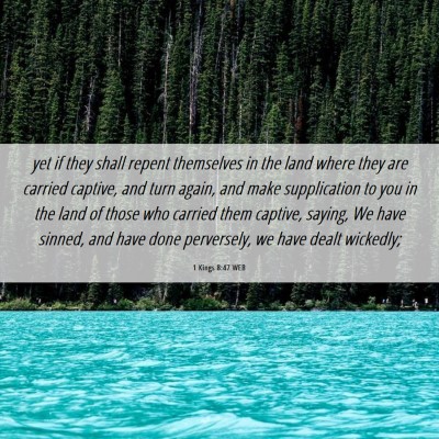Picture 06 - 1 Kings 8:47 WEB - yet if they shall repent themselves in the land - Bible Verse Picture