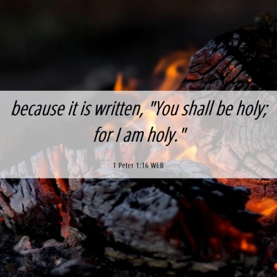 Picture 06 - 1 Peter 1:16 WEB - because it is written, 