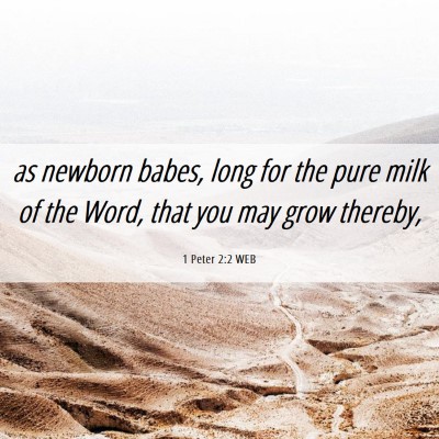 Picture 06 - 1 Peter 2:2 WEB - as newborn babes, long for the pure milk of the - Bible Verse Picture