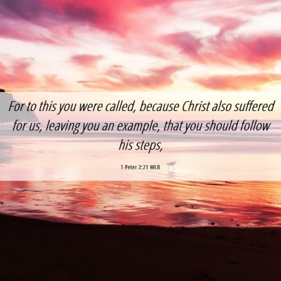 Picture 06 - 1 Peter 2:21 WEB - For to this you were called, because Christ also - Bible Verse Picture