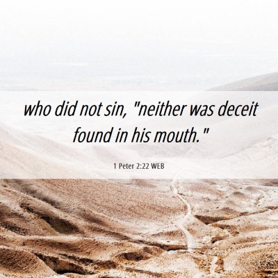 Picture 06 - 1 Peter 2:22 WEB - who did not sin, 