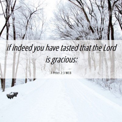 Picture 06 - 1 Peter 2:3 WEB - if indeed you have tasted that the Lord is - Bible Verse Picture