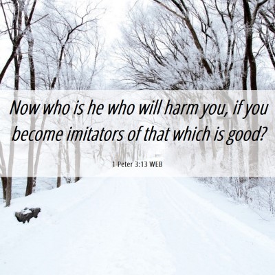 Picture 06 - 1 Peter 3:13 WEB - Now who is he who will harm you, if you become - Bible Verse Picture