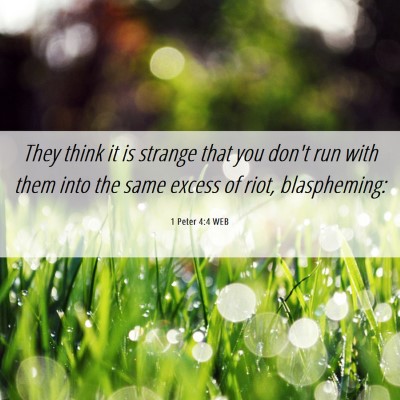 Picture 06 - 1 Peter 4:4 WEB - They think it is strange that you don't run with - Bible Verse Picture