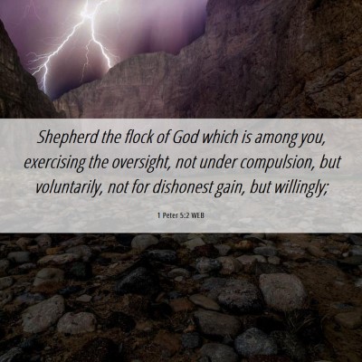 Picture 06 - 1 Peter 5:2 WEB - Shepherd the flock of God which is among you, - Bible Verse Picture