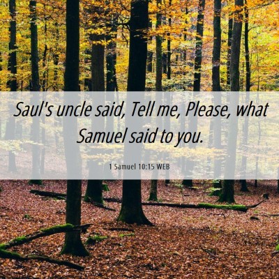 Picture 06 - 1 Samuel 10:15 WEB - Saul's uncle said, Tell me, Please, what Samuel - Bible Verse Picture