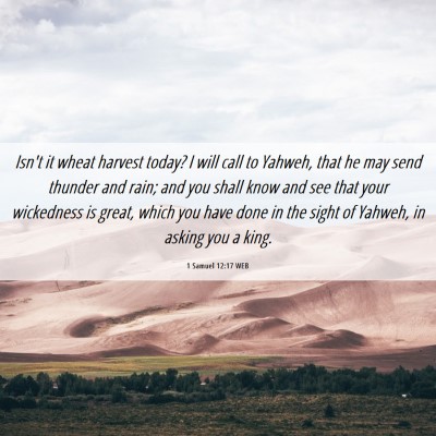 Picture 06 - 1 Samuel 12:17 WEB - Isn't it wheat harvest today? I will call to - Bible Verse Picture