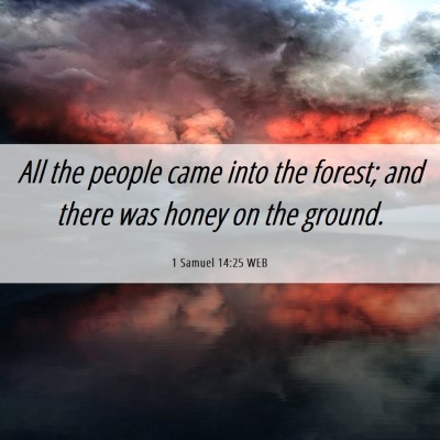 Picture 06 - 1 Samuel 14:25 WEB - All the people came into the forest; and there - Bible Verse Picture