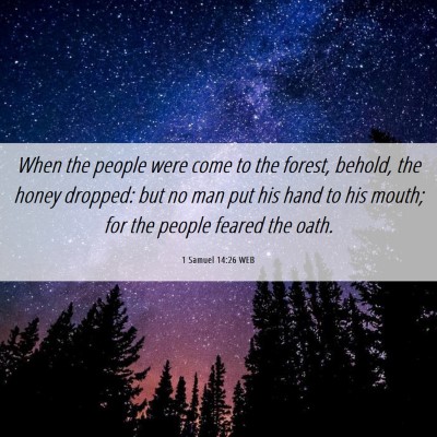 Picture 06 - 1 Samuel 14:26 WEB - When the people were come to the forest, behold, - Bible Verse Picture