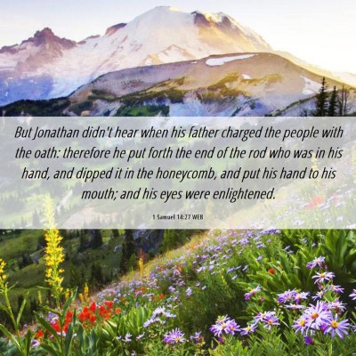 Picture 06 - 1 Samuel 14:27 WEB - But Jonathan didn't hear when his father charged - Bible Verse Picture