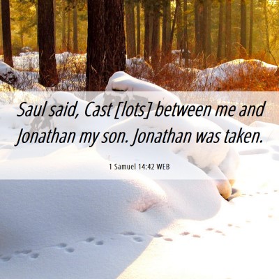 Picture 06 - 1 Samuel 14:42 WEB - Saul said, Cast [lots] between me and Jonathan my - Bible Verse Picture