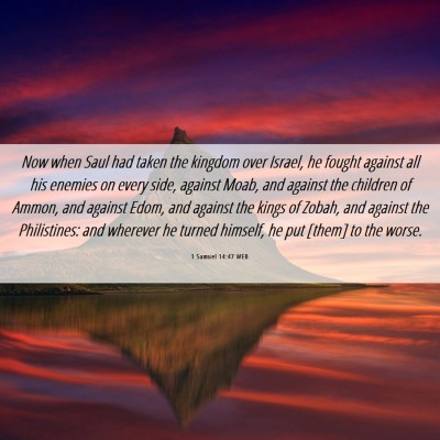 Picture 06 - 1 Samuel 14:47 WEB - Now when Saul had taken the kingdom over Israel, - Bible Verse Picture