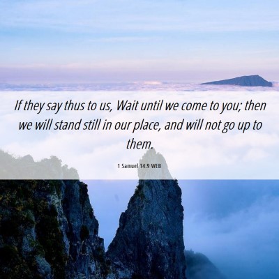 Picture 06 - 1 Samuel 14:9 WEB - If they say thus to us, Wait until we come to - Bible Verse Picture