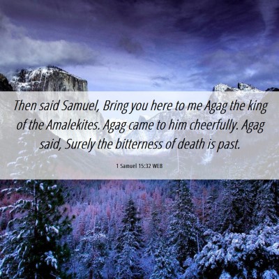 Picture 06 - 1 Samuel 15:32 WEB - Then said Samuel, Bring you here to me Agag the - Bible Verse Picture