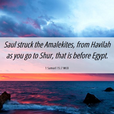 Picture 06 - 1 Samuel 15:7 WEB - Saul struck the Amalekites, from Havilah as you - Bible Verse Picture