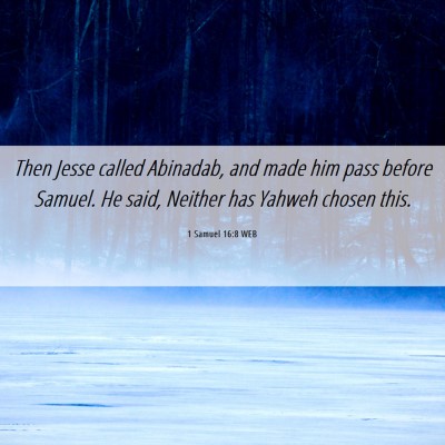 Picture 06 - 1 Samuel 16:8 WEB - Then Jesse called Abinadab, and made him pass - Bible Verse Picture