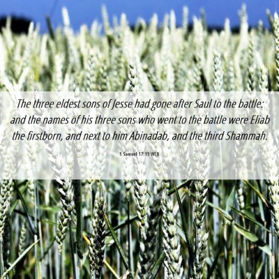Picture 06 - 1 Samuel 17:13 WEB - The three eldest sons of Jesse had gone after - Bible Verse Picture