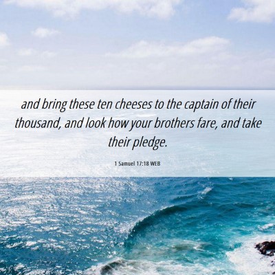 Picture 06 - 1 Samuel 17:18 WEB - and bring these ten cheeses to the captain of - Bible Verse Picture