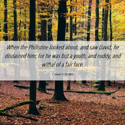 Picture 06 - 1 Samuel 17:42 WEB - When the Philistine looked about, and saw David, - Bible Verse Picture