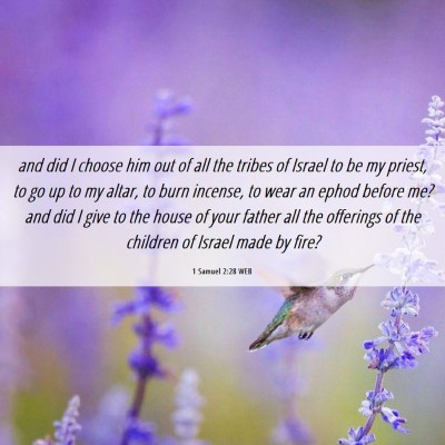Picture 06 - 1 Samuel 2:28 WEB - and did I choose him out of all the tribes of - Bible Verse Picture