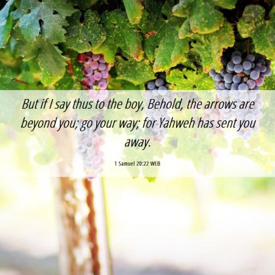 Picture 06 - 1 Samuel 20:22 WEB - But if I say thus to the boy, Behold, the arrows - Bible Verse Picture