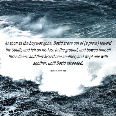 Picture 06 - 1 Samuel 20:41 WEB - As soon as the boy was gone, David arose out of - Bible Verse Picture