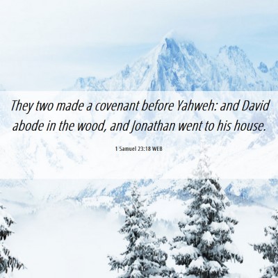 Picture 06 - 1 Samuel 23:18 WEB - They two made a covenant before Yahweh: and David - Bible Verse Picture