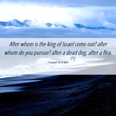Picture 06 - 1 Samuel 24:14 WEB - After whom is the king of Israel come out? after - Bible Verse Picture