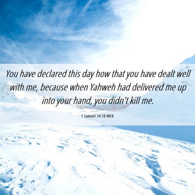 Picture 06 - 1 Samuel 24:18 WEB - You have declared this day how that you have - Bible Verse Picture