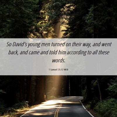 Picture 06 - 1 Samuel 25:12 WEB - So David's young men turned on their way, and - Bible Verse Picture