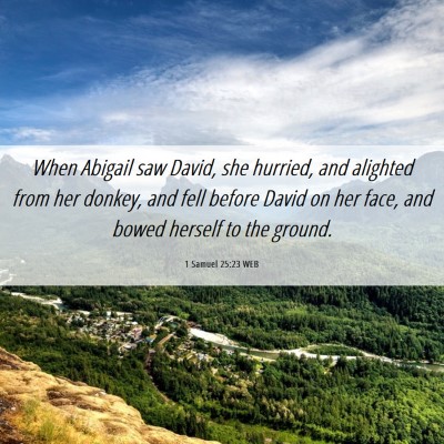 Picture 06 - 1 Samuel 25:23 WEB - When Abigail saw David, she hurried, and alighted - Bible Verse Picture