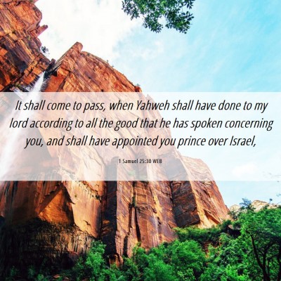 Picture 06 - 1 Samuel 25:30 WEB - It shall come to pass, when Yahweh shall have - Bible Verse Picture