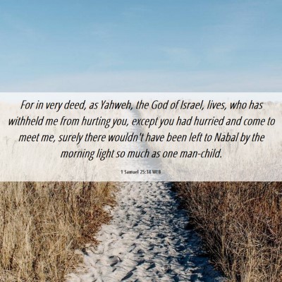 Picture 06 - 1 Samuel 25:34 WEB - For in very deed, as Yahweh, the God of Israel, - Bible Verse Picture