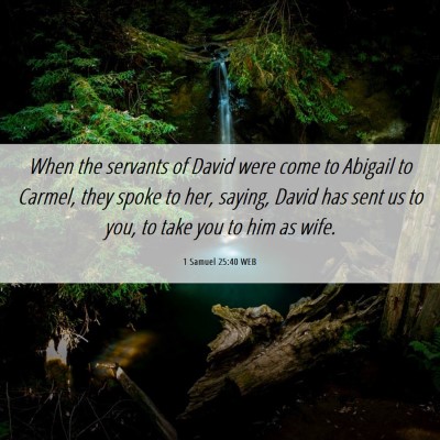 Picture 06 - 1 Samuel 25:40 WEB - When the servants of David were come to Abigail - Bible Verse Picture
