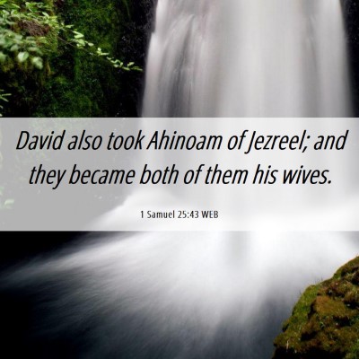 Picture 06 - 1 Samuel 25:43 WEB - David also took Ahinoam of Jezreel; and they - Bible Verse Picture