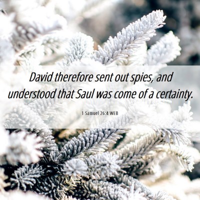 Picture 06 - 1 Samuel 26:4 WEB - David therefore sent out spies, and understood - Bible Verse Picture