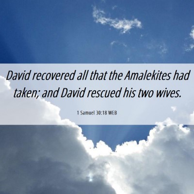 Picture 06 - 1 Samuel 30:18 WEB - David recovered all that the Amalekites had - Bible Verse Picture