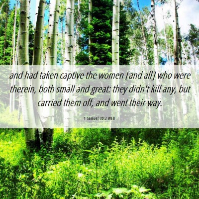 Picture 06 - 1 Samuel 30:2 WEB - and had taken captive the women [and all] who - Bible Verse Picture