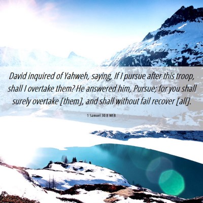 Picture 06 - 1 Samuel 30:8 WEB - David inquired of Yahweh, saying, If I pursue - Bible Verse Picture